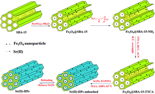 Graphical abstract: A modeling study by response surface methodology (RSM) on Sr(ii) ion dynamic adsorption optimization using a novel magnetic ion imprinted polymer