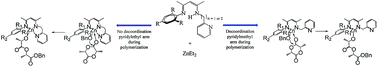 Graphical abstract: Steric and chelating ring concerns on the l-lactide polymerization by asymmetric β-diketiminato zinc complexes