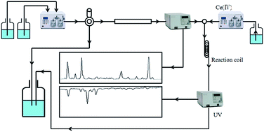 Graphical abstract: Screening and isolation of natural antioxidants from Ziziphora clinopodioides Lam. with high performance liquid chromatography coupled to a post-column Ce(iv) reduction capacity assay