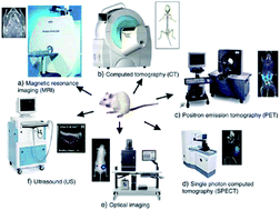Graphical abstract: Mini-review: fluorescence imaging in cancer cells using dye-doped nanoparticles