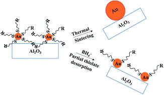 Graphical abstract: Following the thermal and chemical activation of supported Au clusters using X-ray absorption spectroscopy