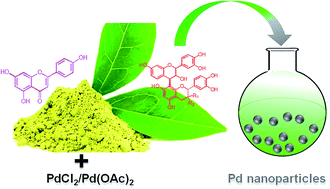 Graphical abstract: Advances in biogenic synthesis of palladium nanoparticles