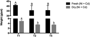 Graphical abstract: Inoculation of bacteria for the bioremediation of heavy metals contaminated soil by Agrocybe aegerita