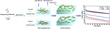 Graphical abstract: Enhanced hydrophilicity of a thermo-responsive PVDF/palygorskite-g-PNIPAAM hybrid ultrafiltration membrane via surface segregation induced by temperature