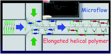 Graphical abstract: Flowing microenvironments regulate the helical pitch of a semi-artificial polymer
