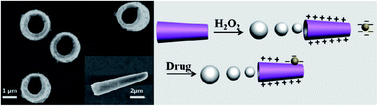 Graphical abstract: Self-propelled manganese oxide-based catalytic micromotors for drug delivery