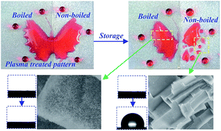 Graphical abstract: Adjusting the stability of plasma treated superhydrophobic surfaces by different modifications or microstructures