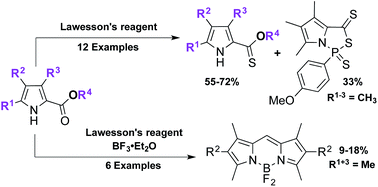Graphical abstract: Thionation reactions of 2-pyrrole carboxylates