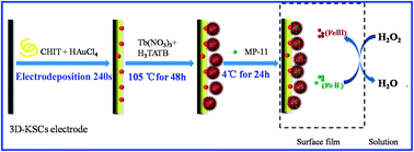 Graphical abstract: Microperoxidase-11/metal–organic framework/macroporous carbon for detecting hydrogen peroxide
