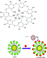 Graphical abstract: Tuned synthesis and characterizational insight into β-cyclodextrin amended hydrous iron-zirconium hybrid oxide: a promising scavenger of fluoride in aqueous solution
