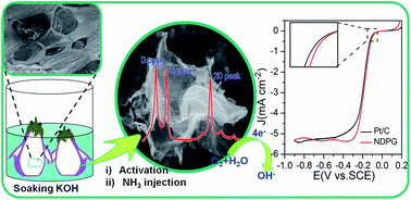 Graphical abstract: A self-template and KOH activation co-coupling strategy to synthesize ultrahigh surface area nitrogen-doped porous graphene for oxygen reduction
