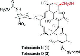Graphical abstract: Tetrocarcins N and O, glycosidic spirotetronates from a marine-derived Micromonospora sp. identified by PCR-based screening