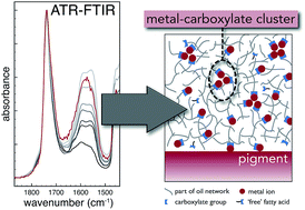Graphical abstract: Ionomer-like structure in mature oil paint binding media