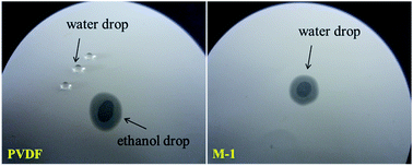 Graphical abstract: Enhancing the permeation and fouling resistance of PVDF microfiltration membranes by constructing an auto-soak surface