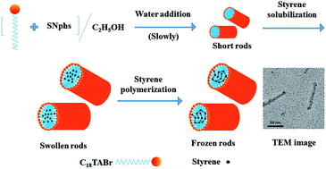 Graphical abstract: Rod-like micelles of octadecyltrimethylammonium bromide and their freezing upon solubilised styrene polymerisation
