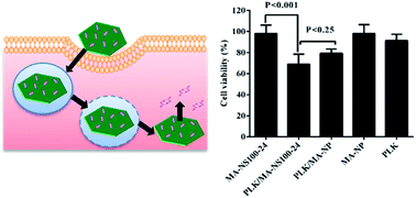 Graphical abstract: Direct synthesis of layered double hydroxide nanosheets for efficient siRNA delivery
