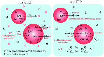 Graphical abstract: Synthesis of micrometer-sized poly(methyl methacrylate) particles by microsuspension iodine transfer polymerization (ms ITP)