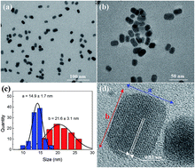 Graphical abstract: Cytotoxicity and imaging studies of β-NaGdF4:Yb3+Er3+@PEG-Mo nanorods
