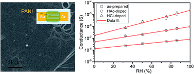 Graphical abstract: Humidity sensing properties of transferable polyaniline thin films formed at the air–water interface