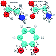 Graphical abstract: Investigating the adsorption mechanism of glycine in comparison with catechol on cristobalite surface using density functional theory for bio-adhesive materials