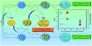 Graphical abstract: Comparison of the effect of ethylene and hexene-1 co-monomers on the composition, microstructure, rheology, thermal and mechanical behaviour of randomized polypropylene hetero-phasic block co-polymers