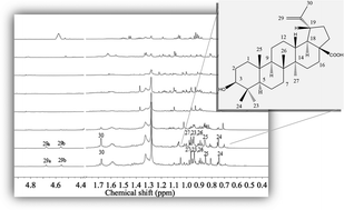 Graphical abstract: Antibiotic adjuvants from Buxus sempervirens to promote effective treatment of drug-resistant Staphylococcus aureus biofilms