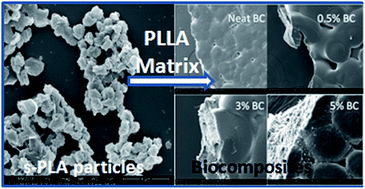 Graphical abstract: Fully biobased robust biocomposites of PLA with assisted nucleation by monodispersed stereocomplexed polylactide particles