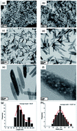 Graphical abstract: Surfactant free novel one-minute microwave synthesis, characterization and cell toxicity study of mesoporous strontium hydroxyapatite nanorods