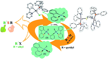 Graphical abstract: Carbon–sulfur bond reductive coupling from a platinum(ii) thiolate complex