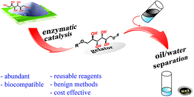 Graphical abstract: Sugar based amphiphiles: easily accessible and efficient crude oil spill thickening agents