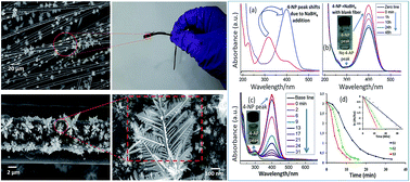 Graphical abstract: Facile reduction of para-nitrophenols: catalytic efficiency of silver nanoferns in batch and continuous flow reactors