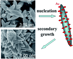 Graphical abstract: An in situ gold-decorated 3D branched ZnO nanocomposite and its enhanced absorption and photo-oxidation performance for removing arsenic from water