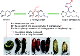 Graphical abstract: Iodine-catalyzed oxidative cyclisation for the synthesis of sarisan analogues containing 1,3,4-oxadiazole as insecticidal agents