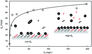 Graphical abstract: Adsorption isotherms and mechanisms of Cu(ii) sorption onto TEMPO-mediated oxidized cellulose nanofibers