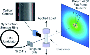 Graphical abstract: A multiple length scale description of the mechanism of elastomer stretching