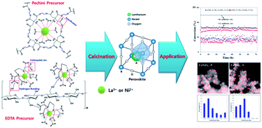 Graphical abstract: Synthesis of LaNiO3 perovskite using an EDTA-cellulose method and comparison with the conventional Pechini method: application to steam CO2 reforming of methane