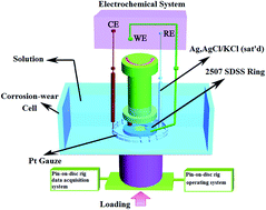 Graphical abstract: Effects of NaCl concentration on wear–corrosion behavior of SAF 2507 super duplex stainless steel
