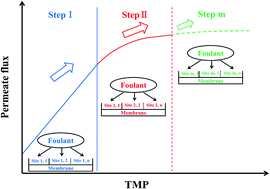 Graphical abstract: Stepwise membrane fouling model for shear-enhanced filtration of alfalfa juice: experimental and modeling studies