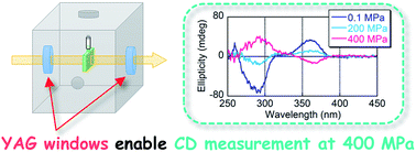 Graphical abstract: High-pressure circular dichroism spectroscopy up to 400 MPa using polycrystalline yttrium aluminum garnet (YAG) as pressure-resistant optical windows