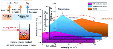 Graphical abstract: Single-stage PN/A technology treating saline ammonia-rich wastewater: finding the balance between efficient performance and less N2O and NO emissions