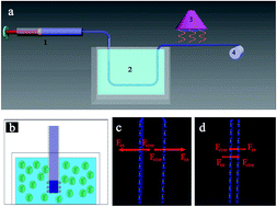 Graphical abstract: Design and fabrication of graphene fibers based on intermolecular forces and charge properties in a novel acidic system