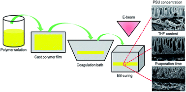 Graphical abstract: Study of phase inversion parameters for EB-cured polysulfone-based membranes
