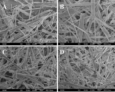 Graphical abstract: Magnesium substituted hydroxyapatite whiskers: synthesis, characterization and bioactivity evaluation