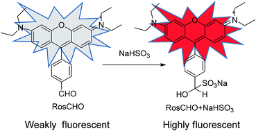 Graphical abstract: A novel rosamine-based fluorescent probe for bisulfite in aqueous solution
