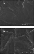 Graphical abstract: Fluorescence sensor for detecting protamines based on competitive interactions of polyacrylic acid modified with sodium 4-amino-1-naphthalenesulfonate with protamines and aminated graphene oxide