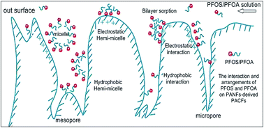 Graphical abstract: Sorption of perfluorooctane sulfonate and perfluorooctanoate on polyacrylonitrile fiber-derived activated carbon fibers: in comparison with activated carbon