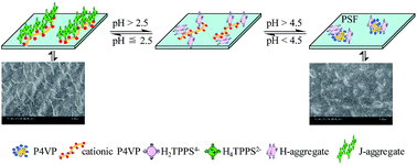 Graphical abstract: Preparation and characterization of a pH-responsive membrane carrier for meso-tetraphenylsulfonato porphyrin