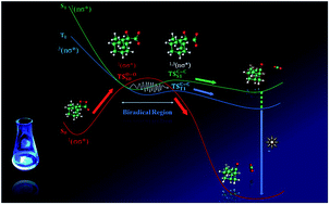 Graphical abstract: A combined theoretical and experimental study on the mechanism of spiro-adamantyl-1,2-dioxetanone decomposition