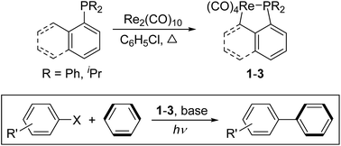 Graphical abstract: Synthesis, structures and catalytic activity of cyclometalated rhenium complexes