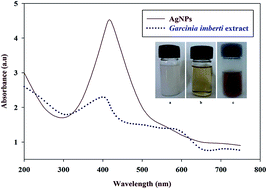Graphical abstract: Green synthesized silver nanoparticles from Garcinia imberti bourd and their impact on root canal pathogens and HepG2 cell lines